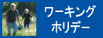 �A�C�������h�E���[�L���O�z���f�[